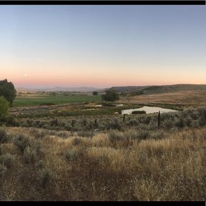 Meet your Posher, Alexia